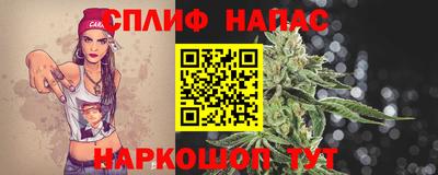 дмт Можга