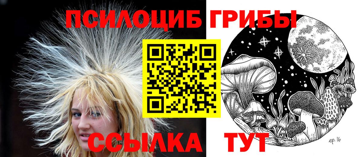 Галлюциногенные грибы MAGIC MUSHROOMS  закладка  Бугуруслан  Вход с VPN 